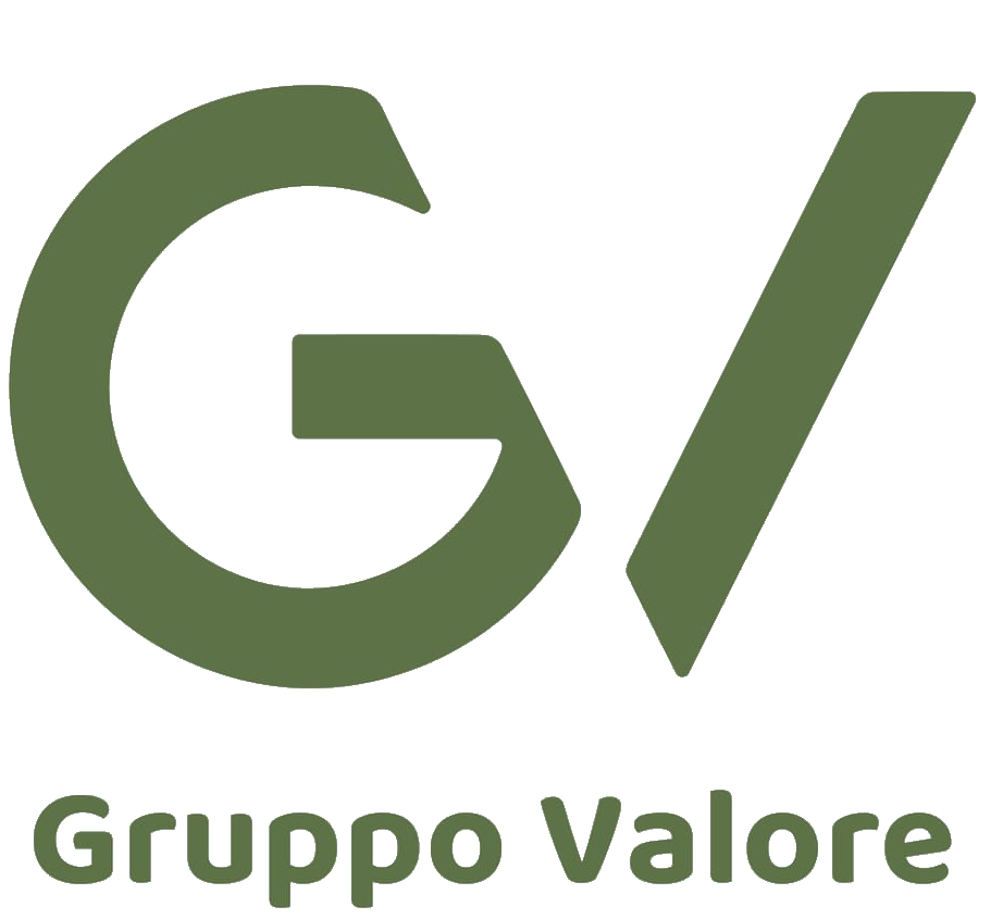 Logo di Gruppo Valore Crm